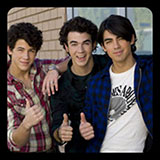 The Jonas Brothers 